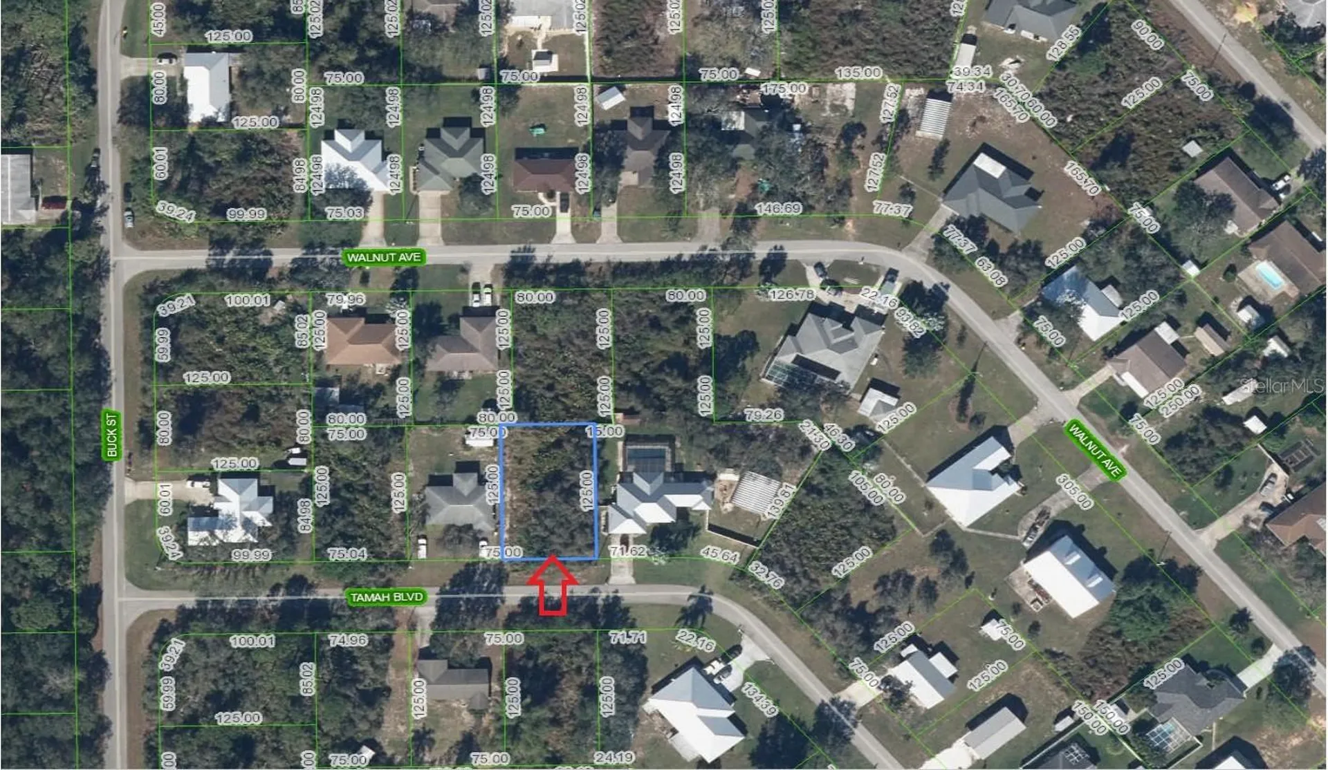 1507 Tamah Boulevard Lake Placid FL 33852