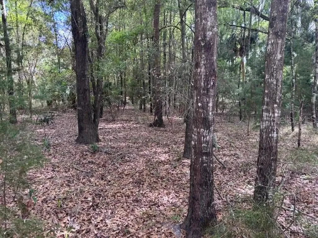 1.77 Acres NW 73 Street Chiefland FL 32626