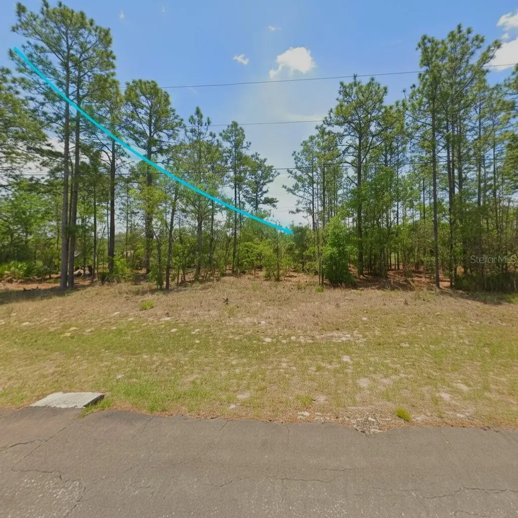 554 W Glenhaven Drive Citrus Springs FL 34434