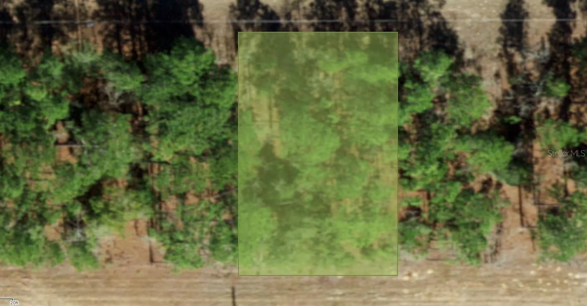 554 W Glenhaven Drive Citrus Springs FL 34434