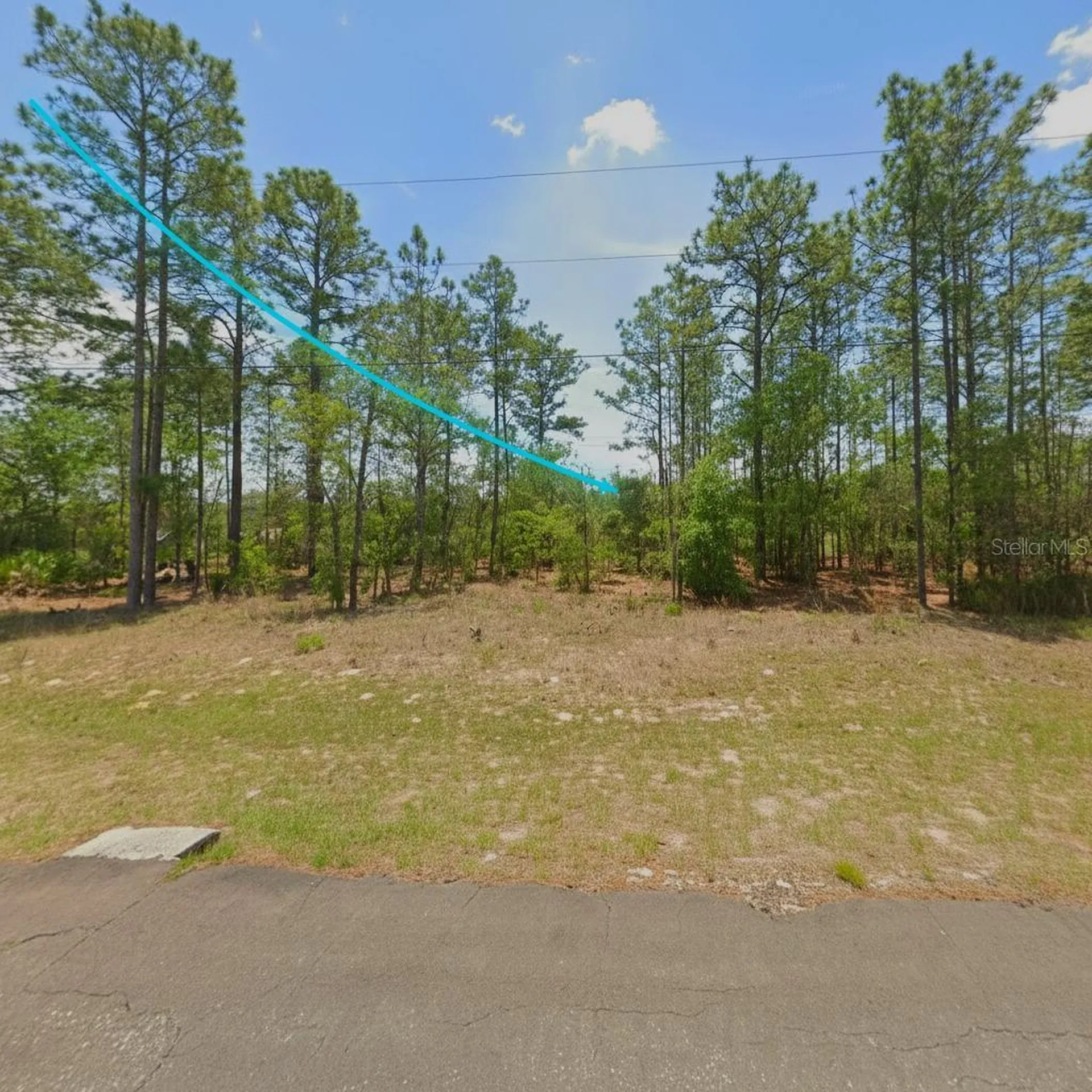 554 W Glenhaven Drive Citrus Springs FL 34434