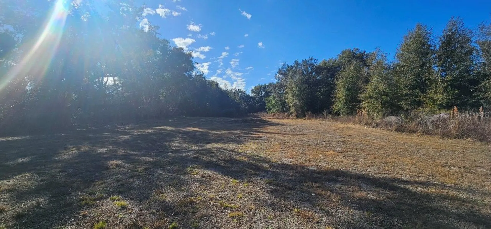 E Cleveland Street Apopka FL 32703