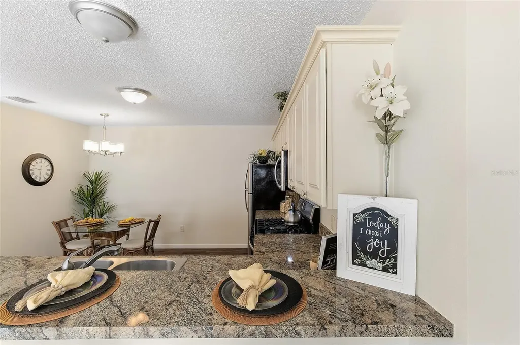 2343 Pine Ridge Street The Villages FL 32162