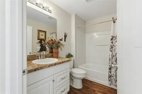 2343 Pine Ridge Street The Villages FL 32162