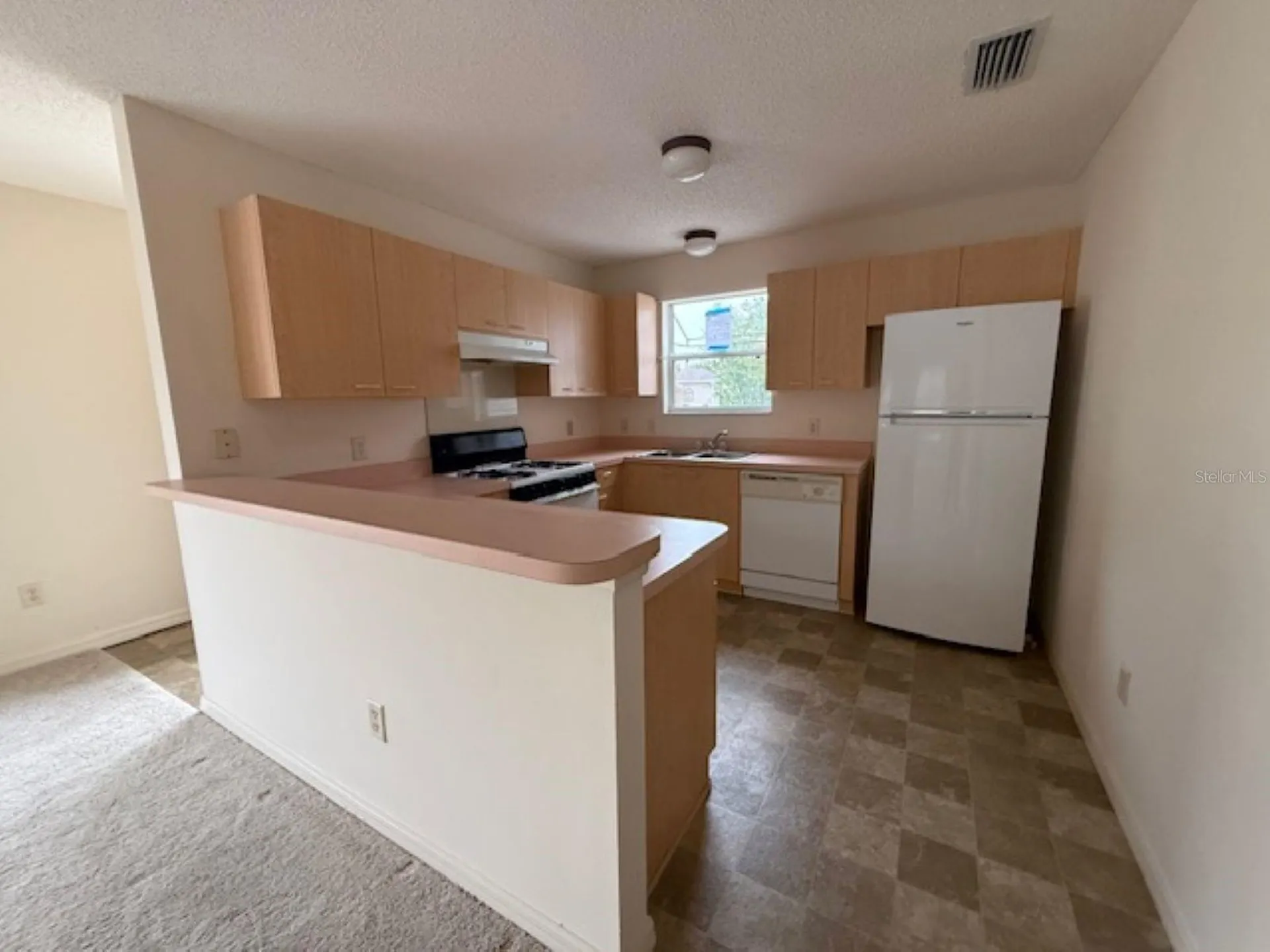 17412 SE 81st Newberry Court The Villages FL 32162