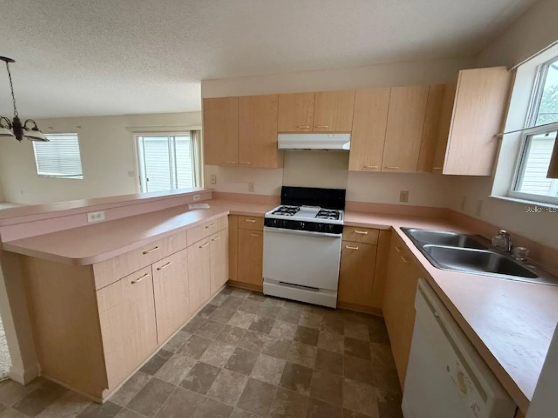 17412 SE 81st Newberry Court The Villages FL 32162
