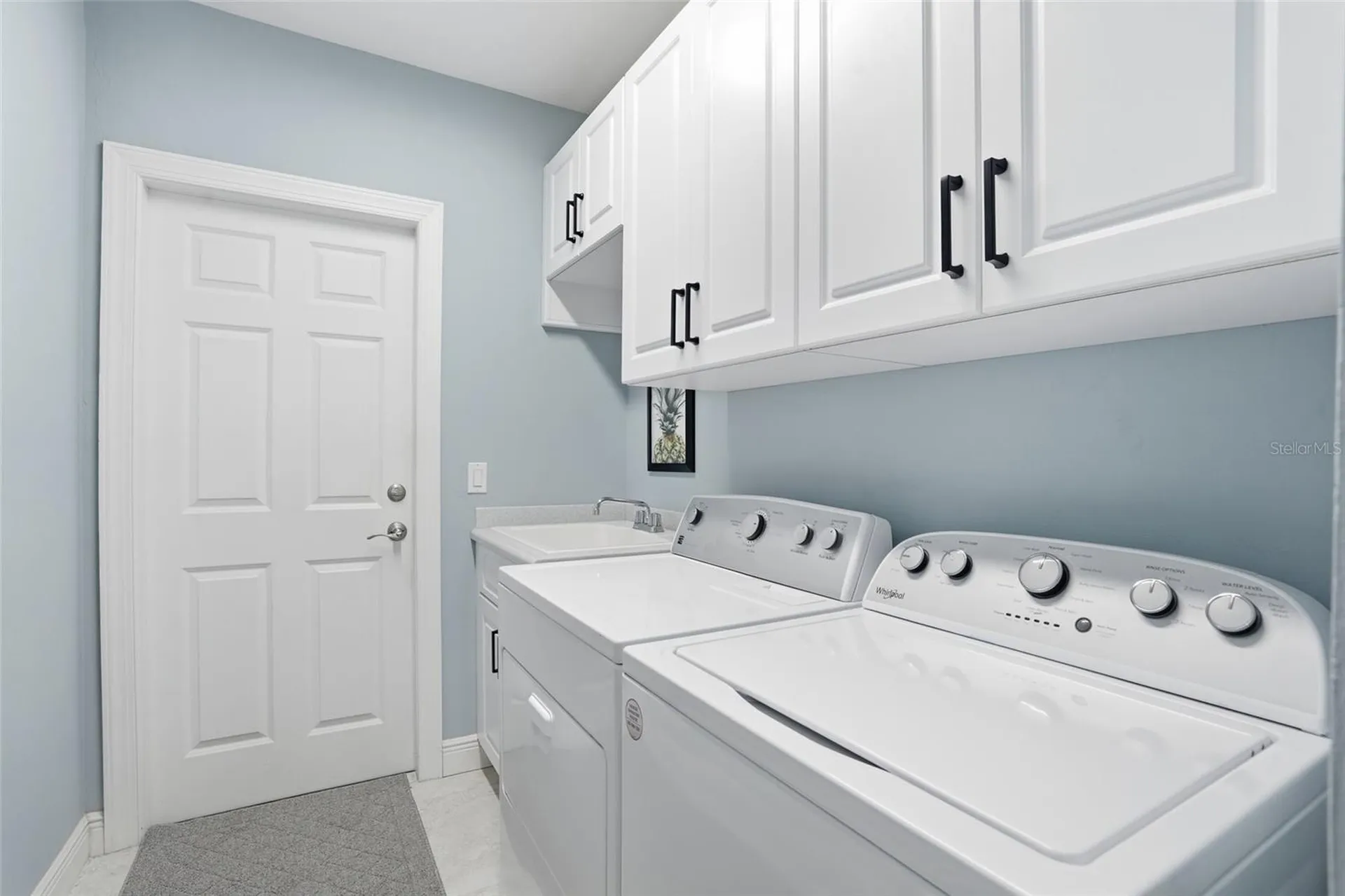 1309 SW 19th Lane Cape Coral FL 33991