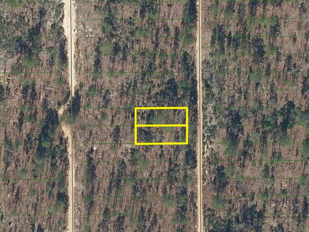 423 Dothan Street Interlachen FL 32148