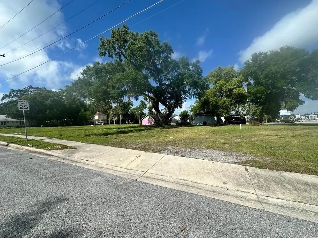 1314 Brack Street Kissimmee FL 34744