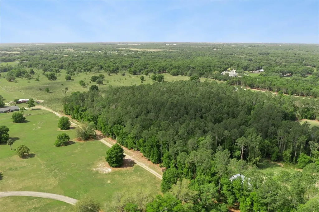 Lake Seneca Road Eustis FL 32726