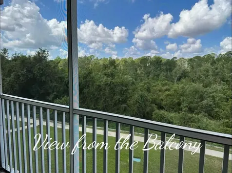 2310 Silver Palm Drive Kissimmee FL 34747