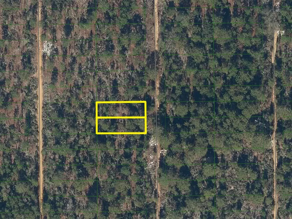 225 Maple Street Interlachen FL 32148