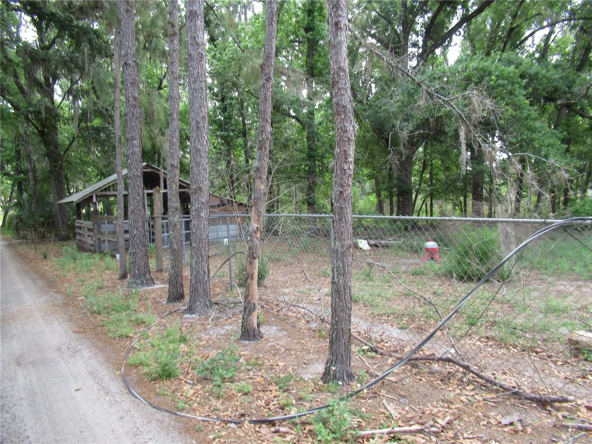 7814 Turkey Creek Road Plant City FL 33567
