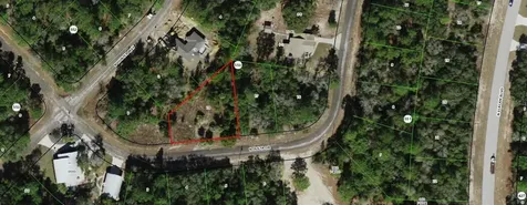 9173 N Justa Drive Citrus Springs FL 34433