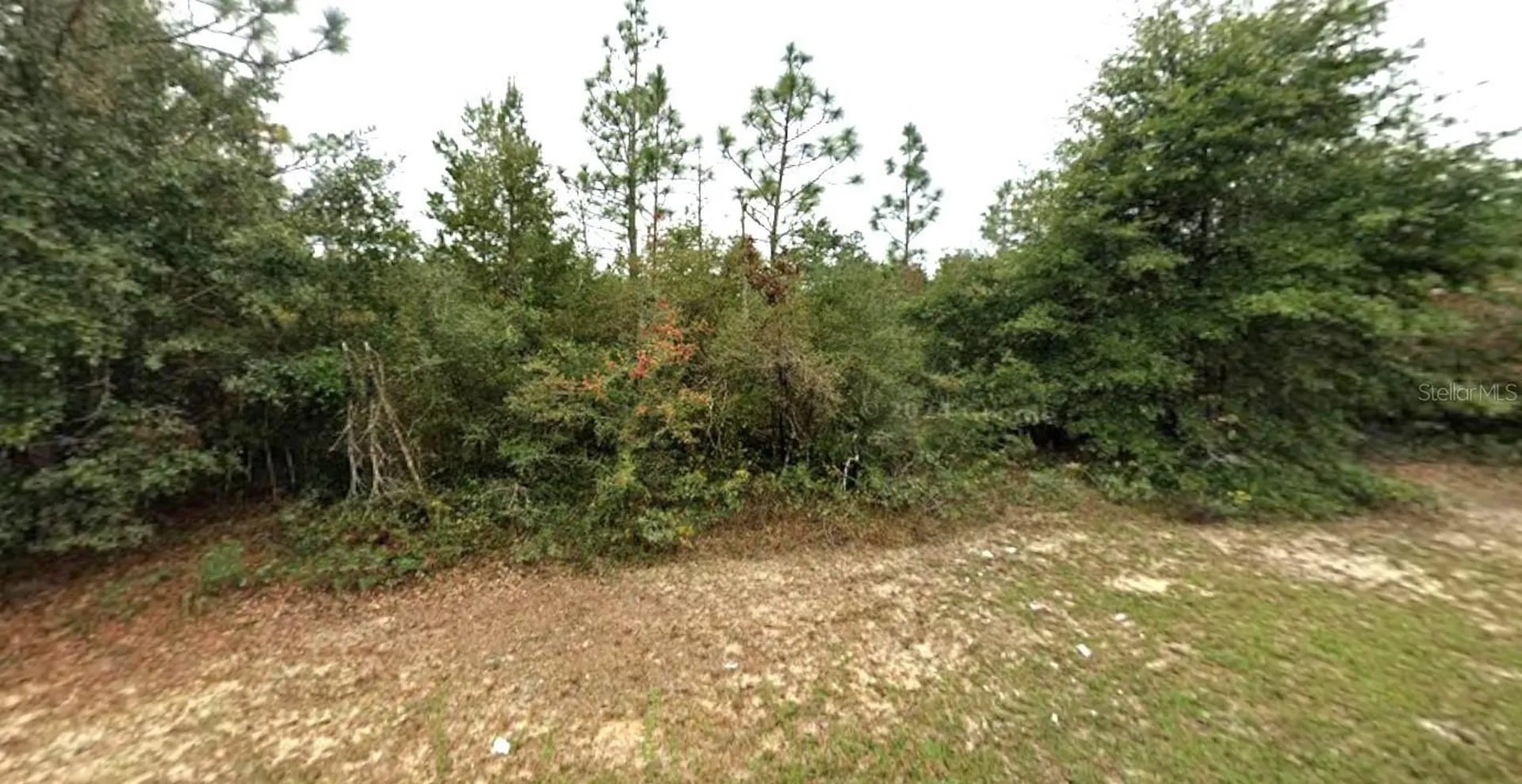 Hemlock Circle Chipley FL 32428