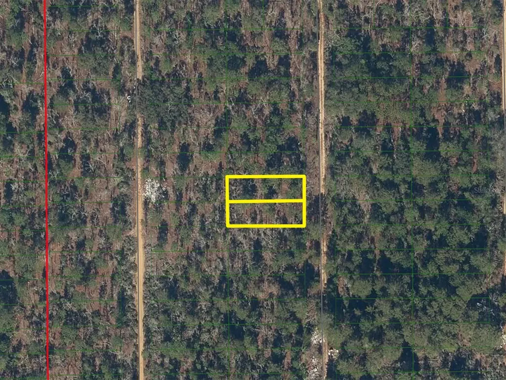 233 Maple Street Interlachen FL 32148