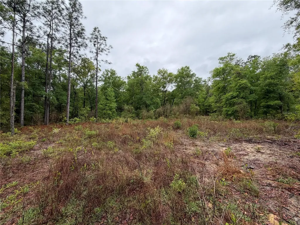 301 Rainbow Drive Hawthorne FL 32640