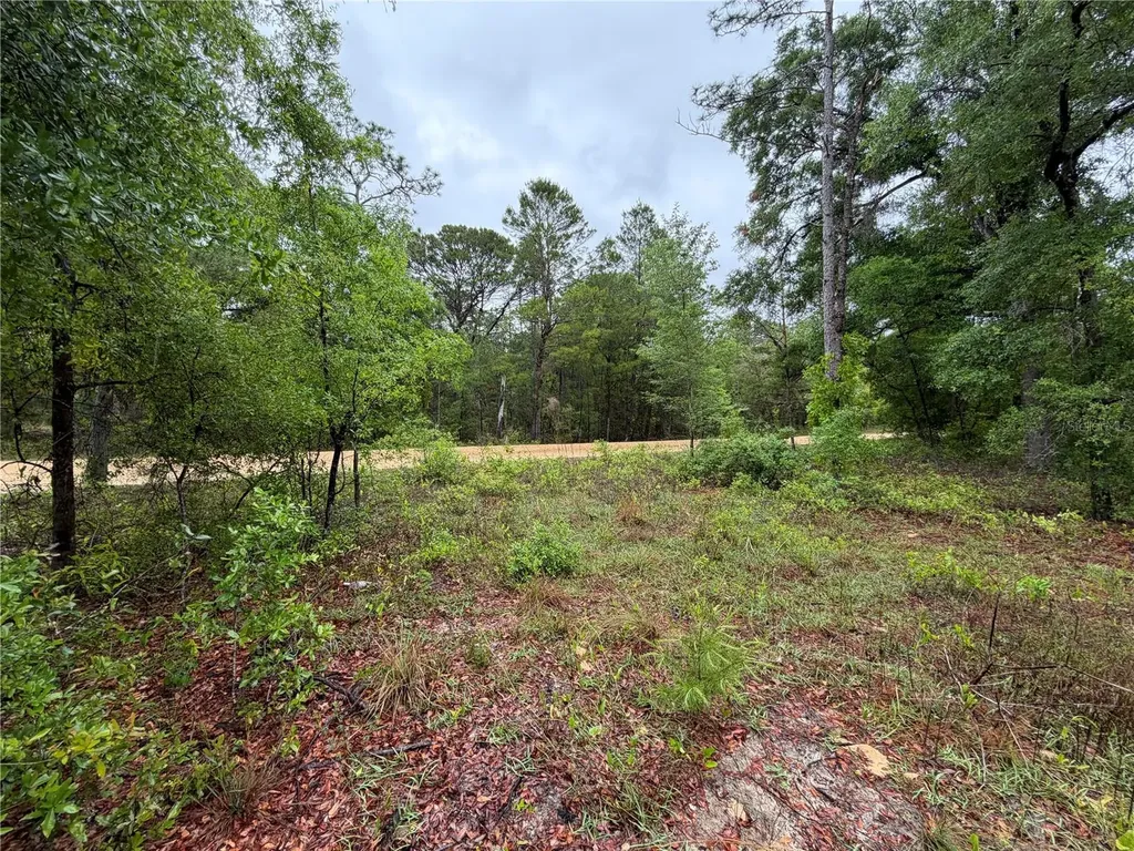 301 Rainbow Drive Hawthorne FL 32640