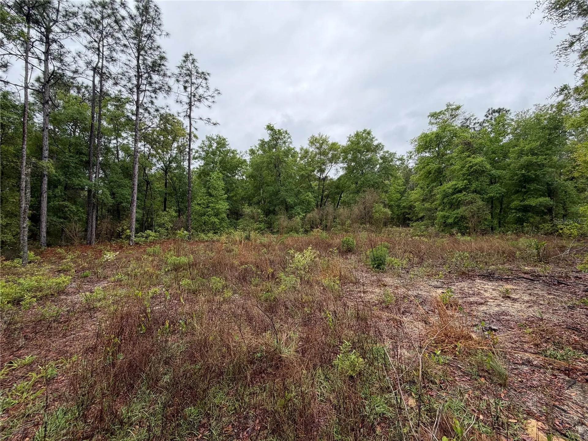 301 Rainbow Drive Hawthorne FL 32640