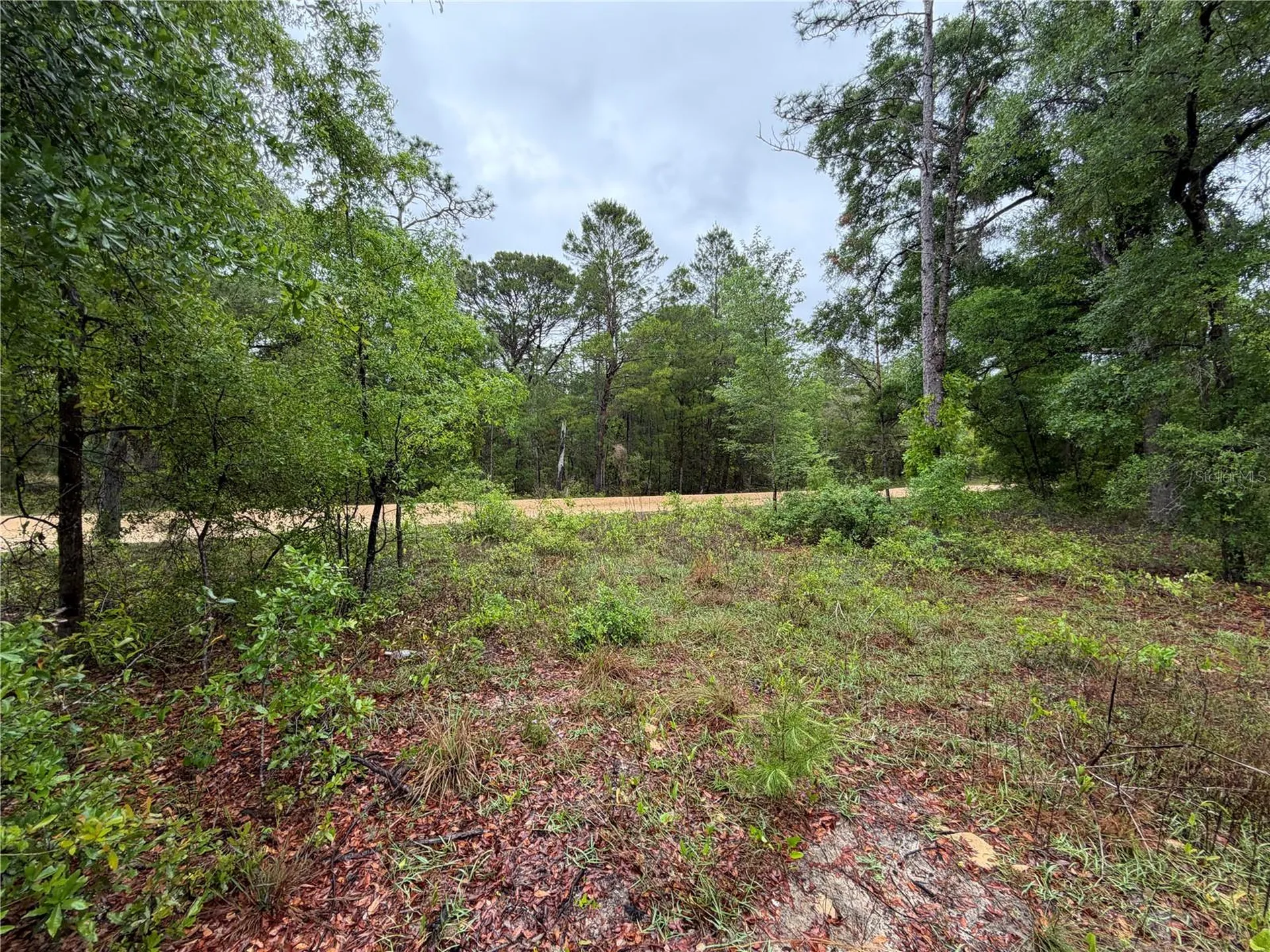 301 Rainbow Drive Hawthorne FL 32640