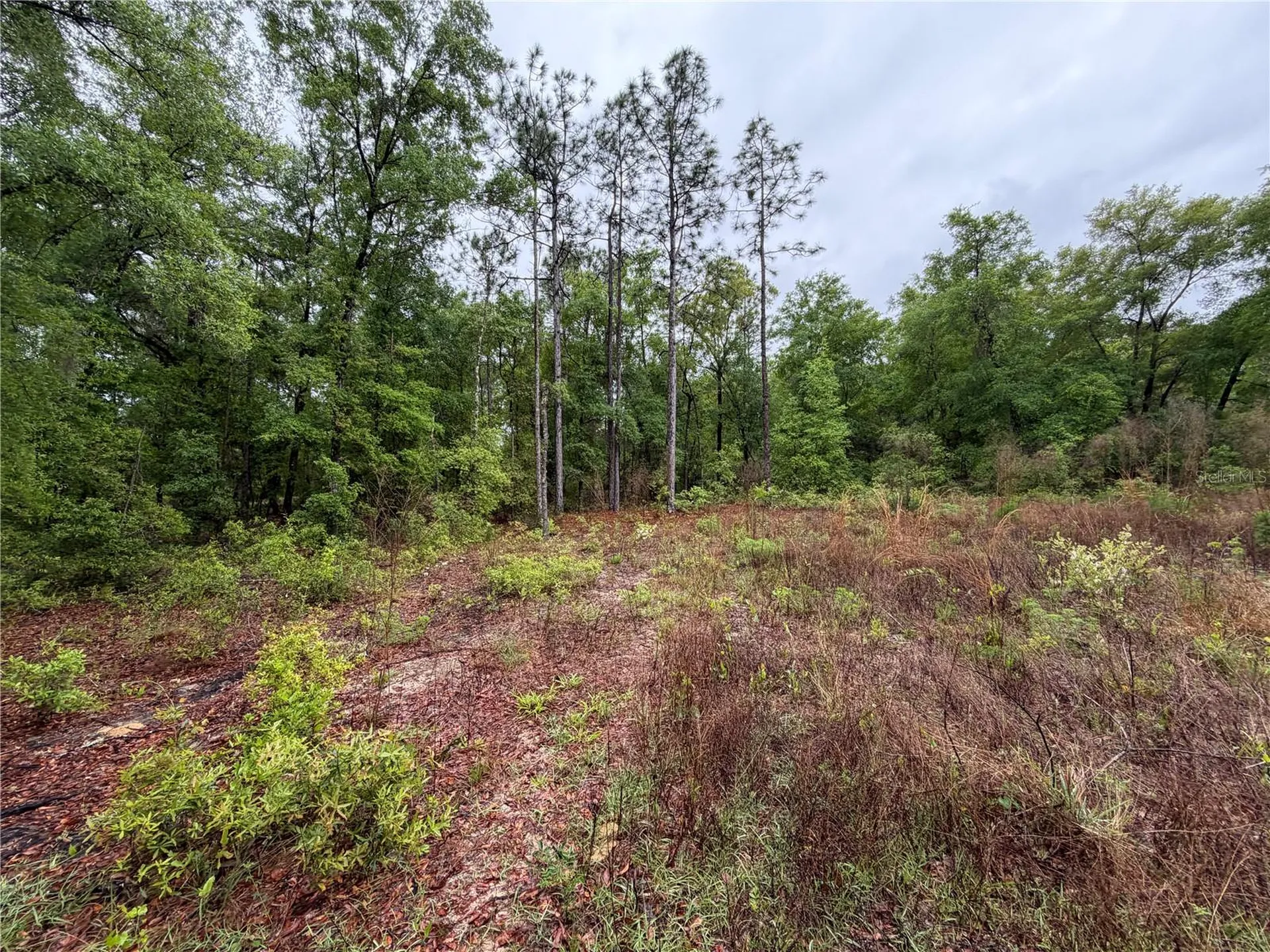301 Rainbow Drive Hawthorne FL 32640