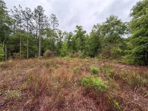 301 Rainbow Drive Hawthorne FL 32640