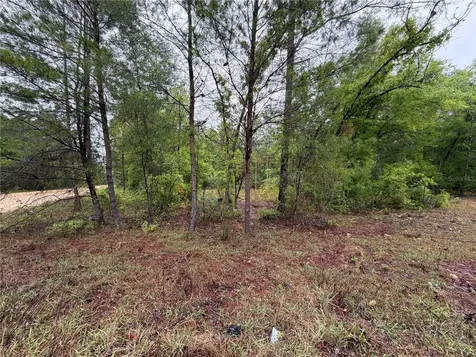 301 Rainbow Drive Hawthorne FL 32640