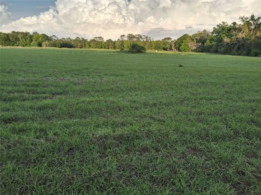 1613 NE 12th Avenue Sumterville FL 33585