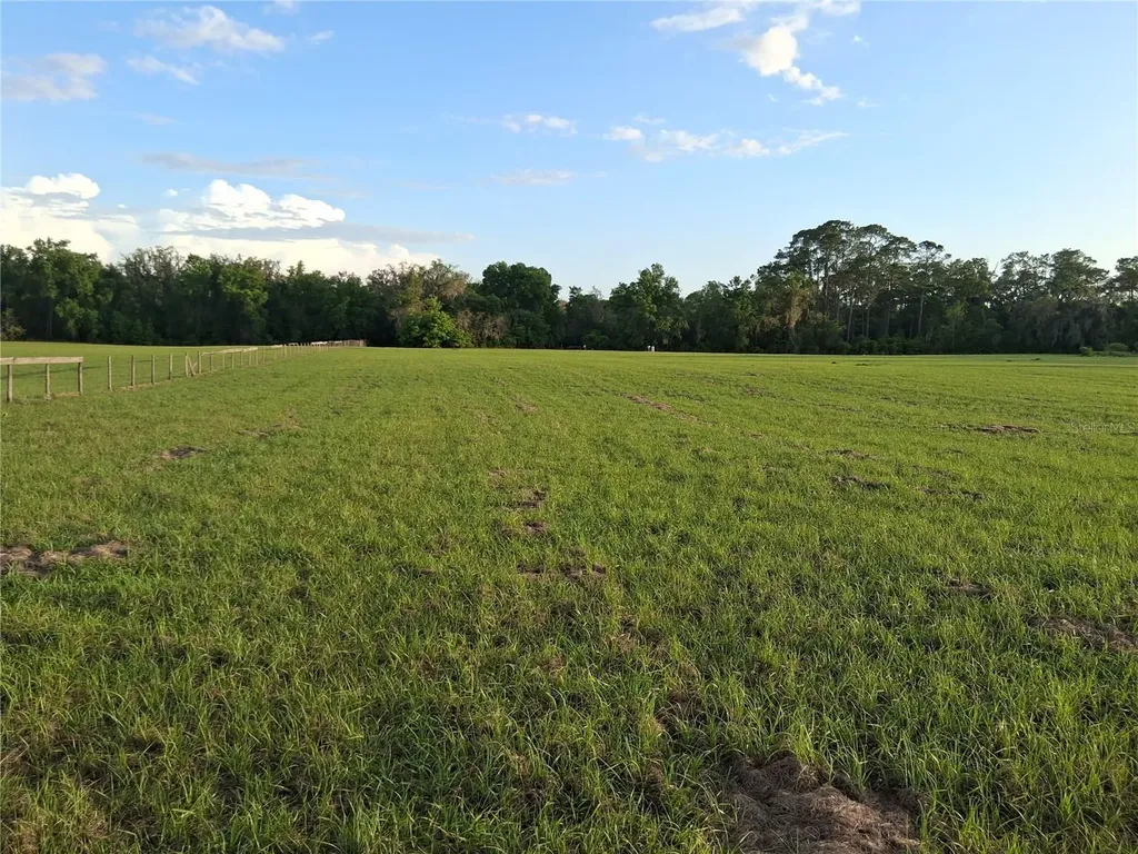 1613 NE 12th Avenue Sumterville FL 33585