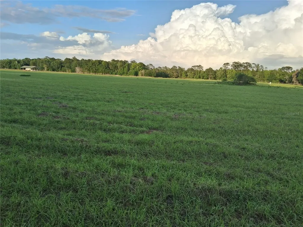 1613 NE 12th Avenue Sumterville FL 33585