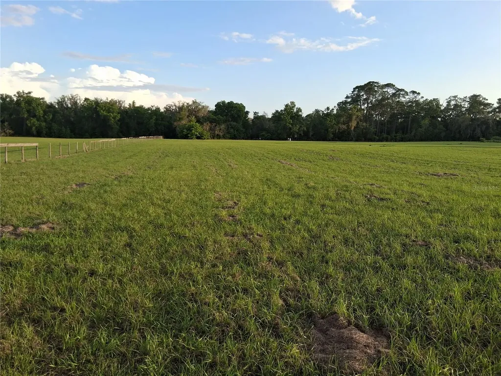 1613 NE 12th Avenue Sumterville FL 33585