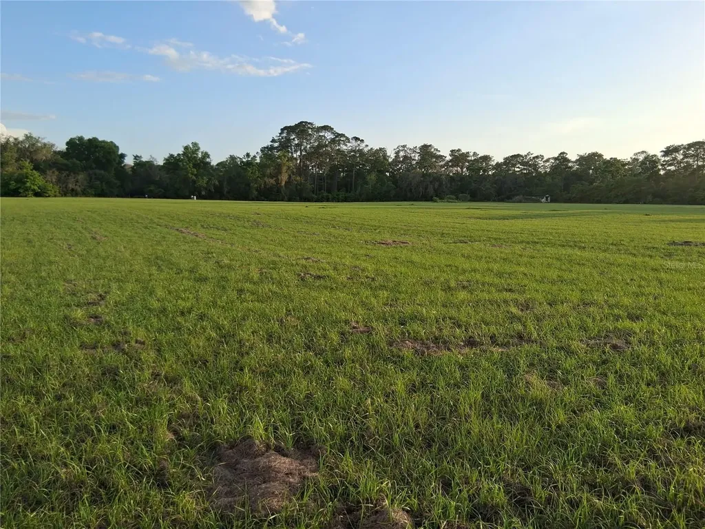 1613 NE 12th Avenue Sumterville FL 33585