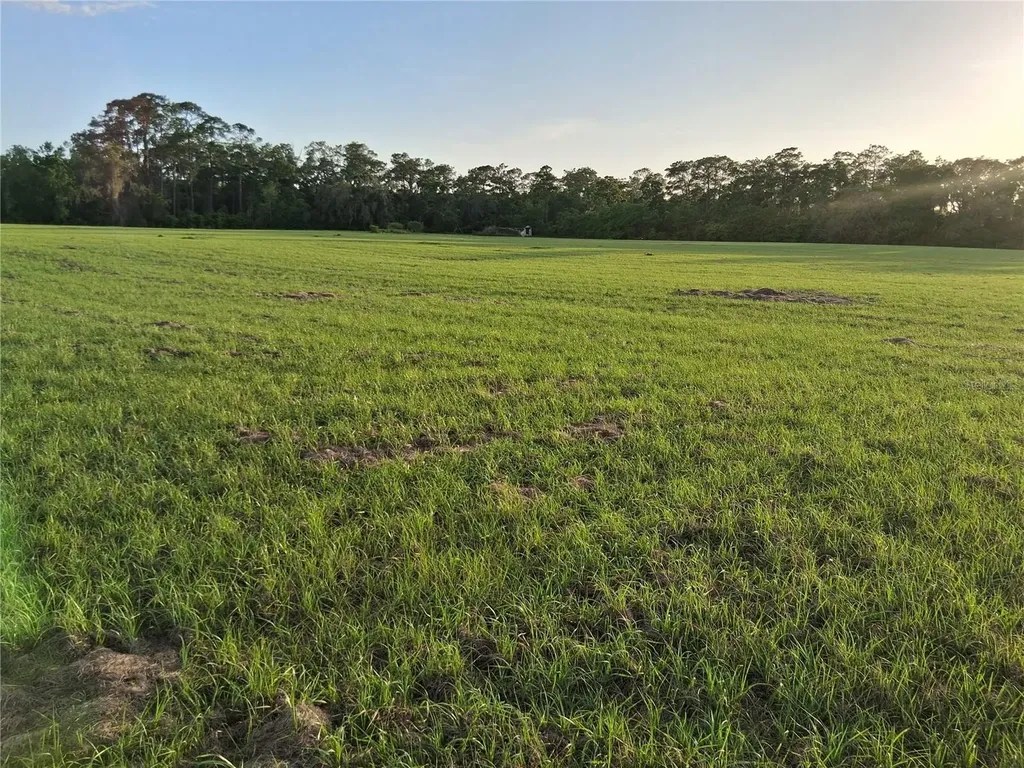 1613 NE 12th Avenue Sumterville FL 33585