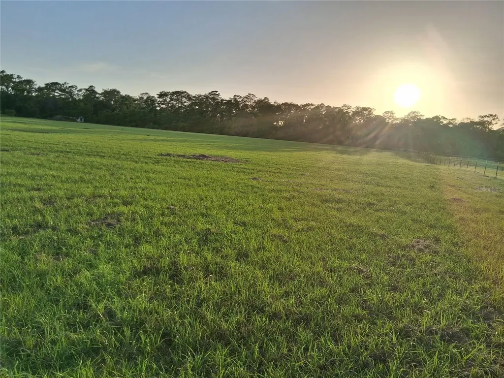 1613 NE 12th Avenue Sumterville FL 33585