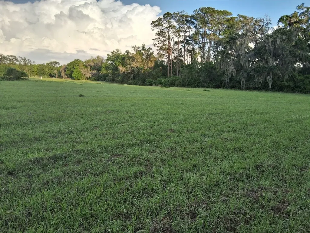1613 NE 12th Avenue Sumterville FL 33585
