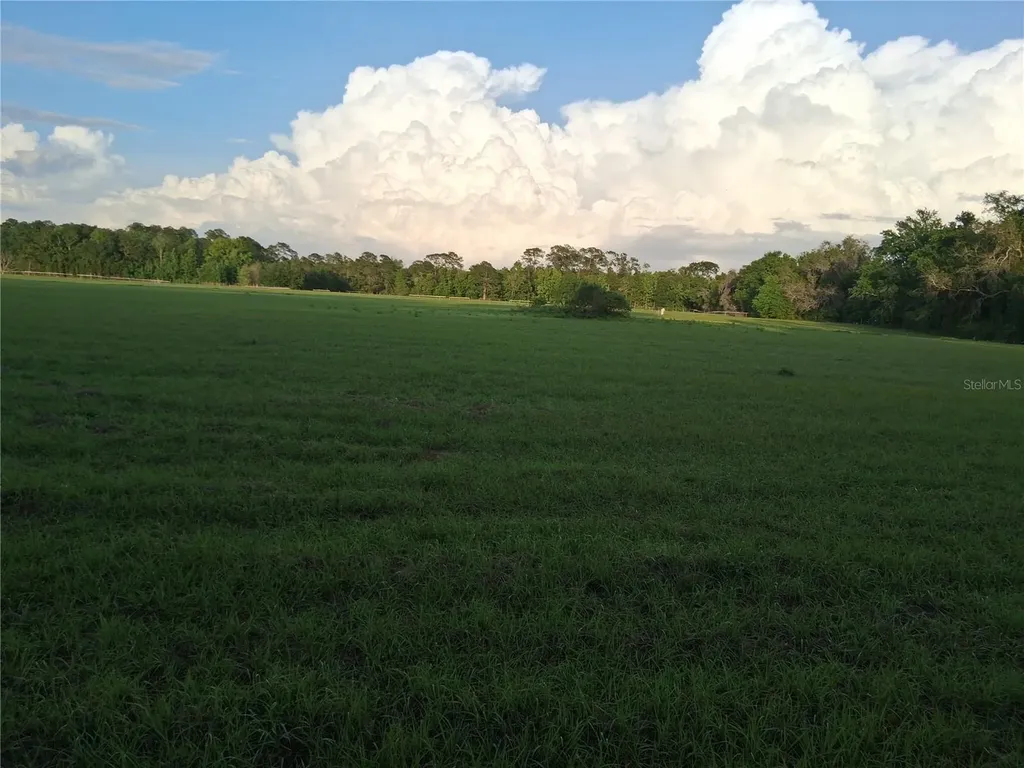 1613 NE 12th Avenue Sumterville FL 33585