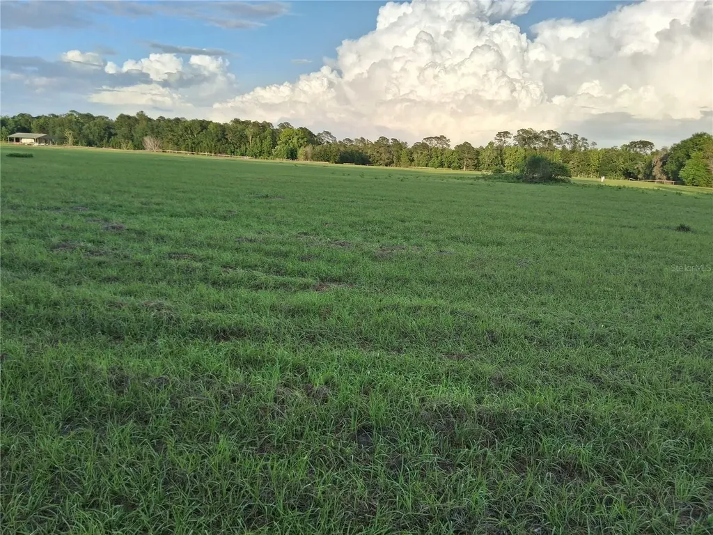 1613 NE 12th Avenue Sumterville FL 33585