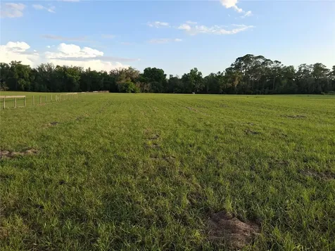 1613 NE 12th Avenue Sumterville FL 33585