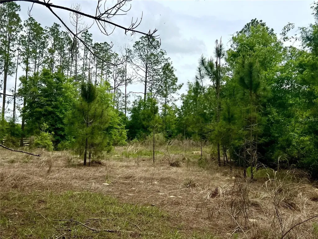 20825 County Road 44a Eustis FL 32736