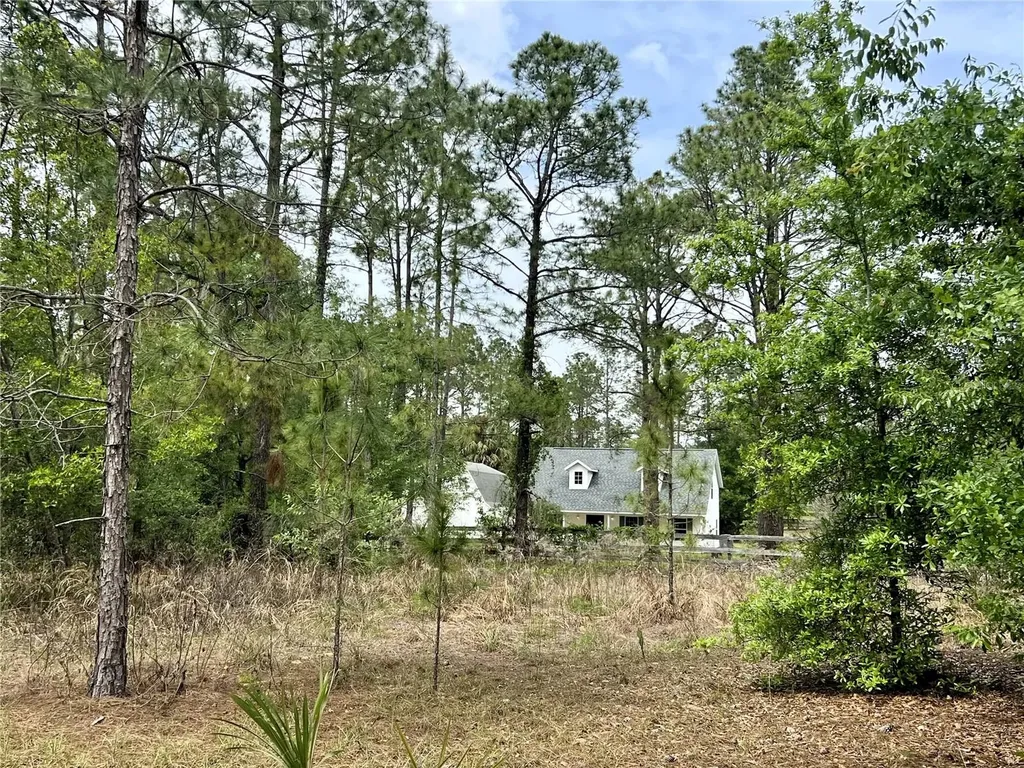 20825 County Road 44a Eustis FL 32736