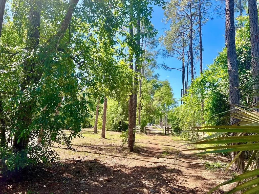 20825 County Road 44a Eustis FL 32736