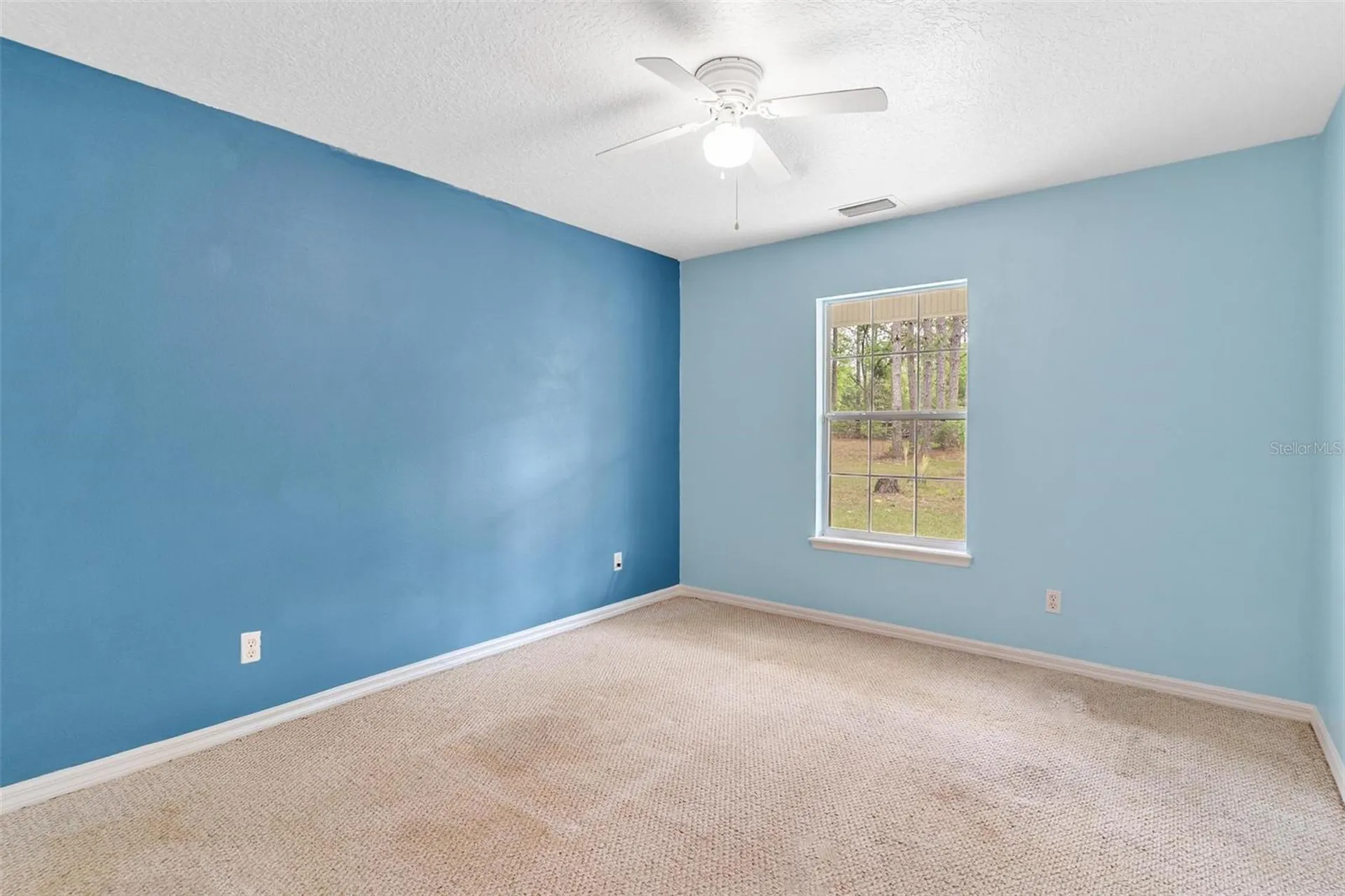 20825 County Road 44a Eustis FL 32736