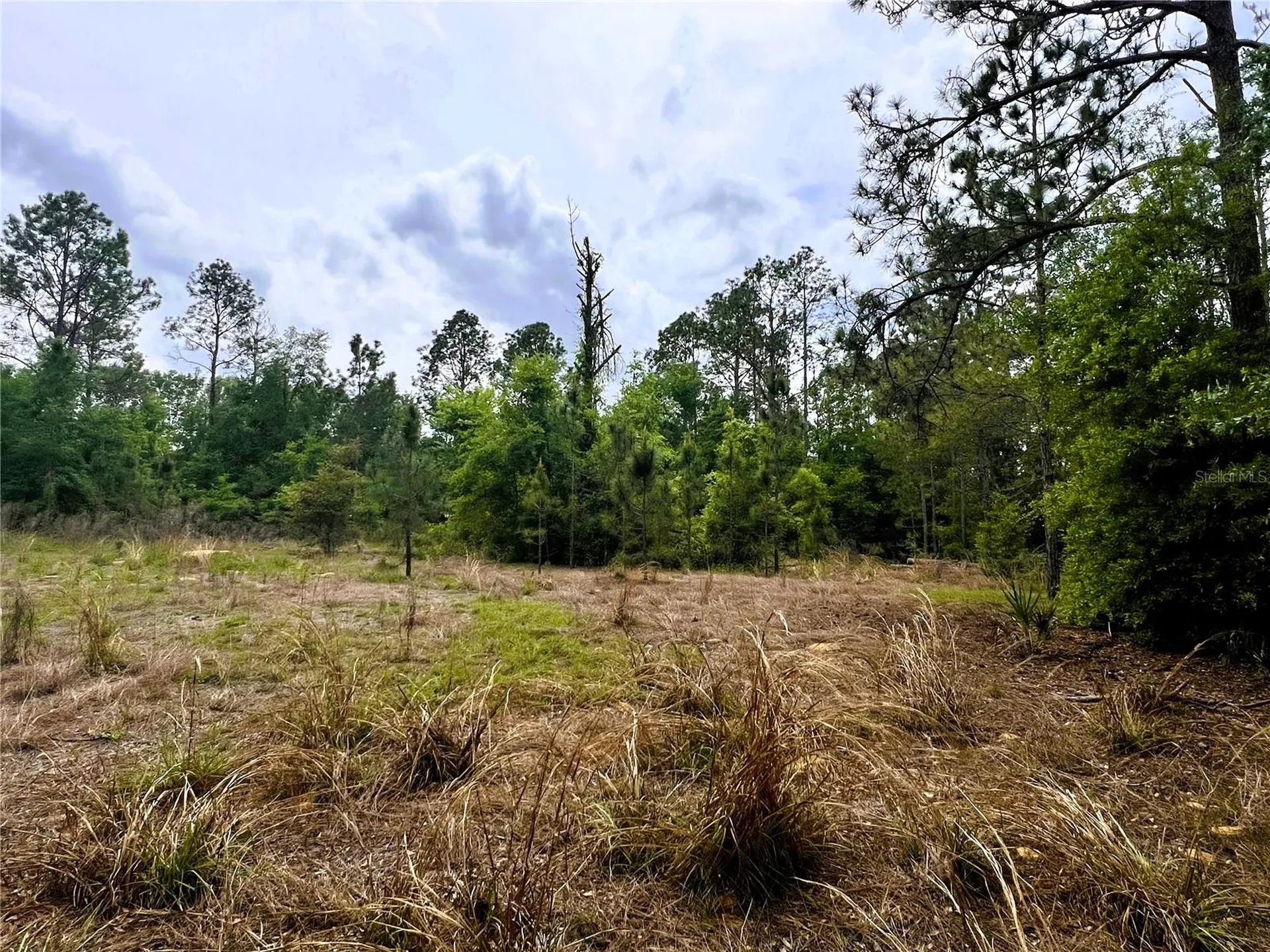 20825 County Road 44a Eustis FL 32736