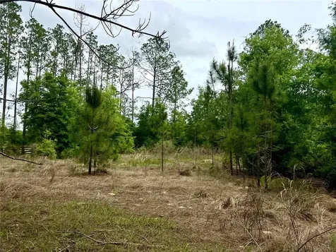 20825 County Road 44a Eustis FL 32736