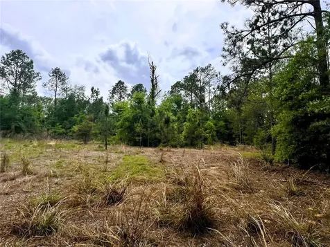 20825 County Road 44a Eustis FL 32736