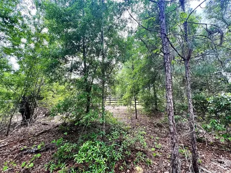 20825 County Road 44a Eustis FL 32736