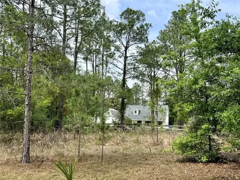 20825 County Road 44a Eustis FL 32736
