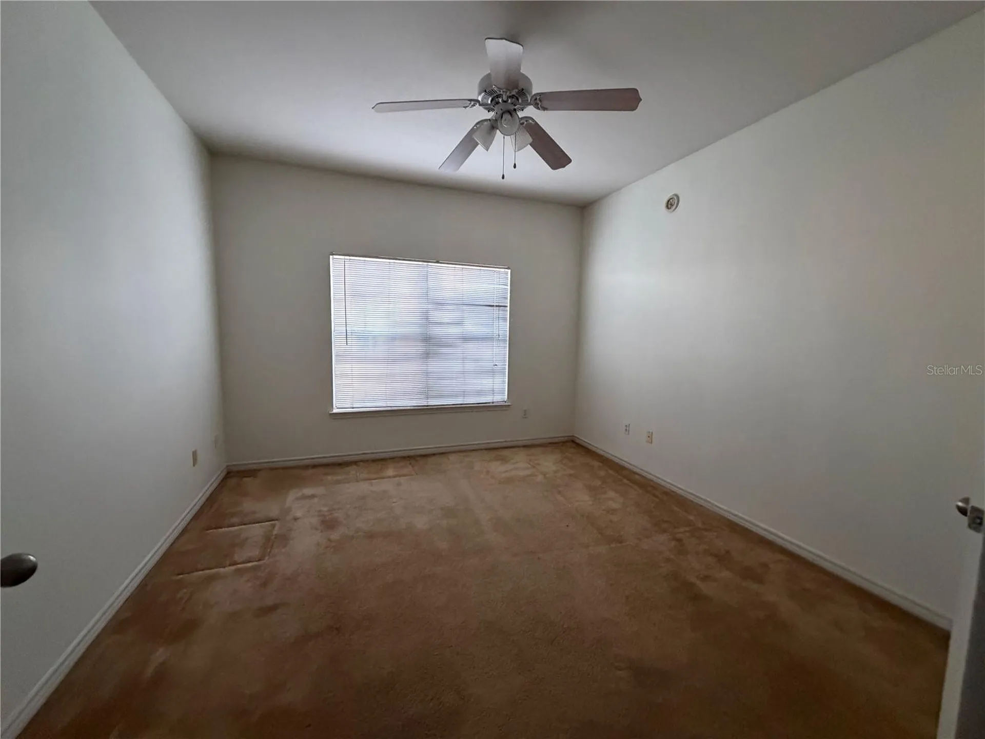 4333 Bayside Village Drive Tampa FL 33615