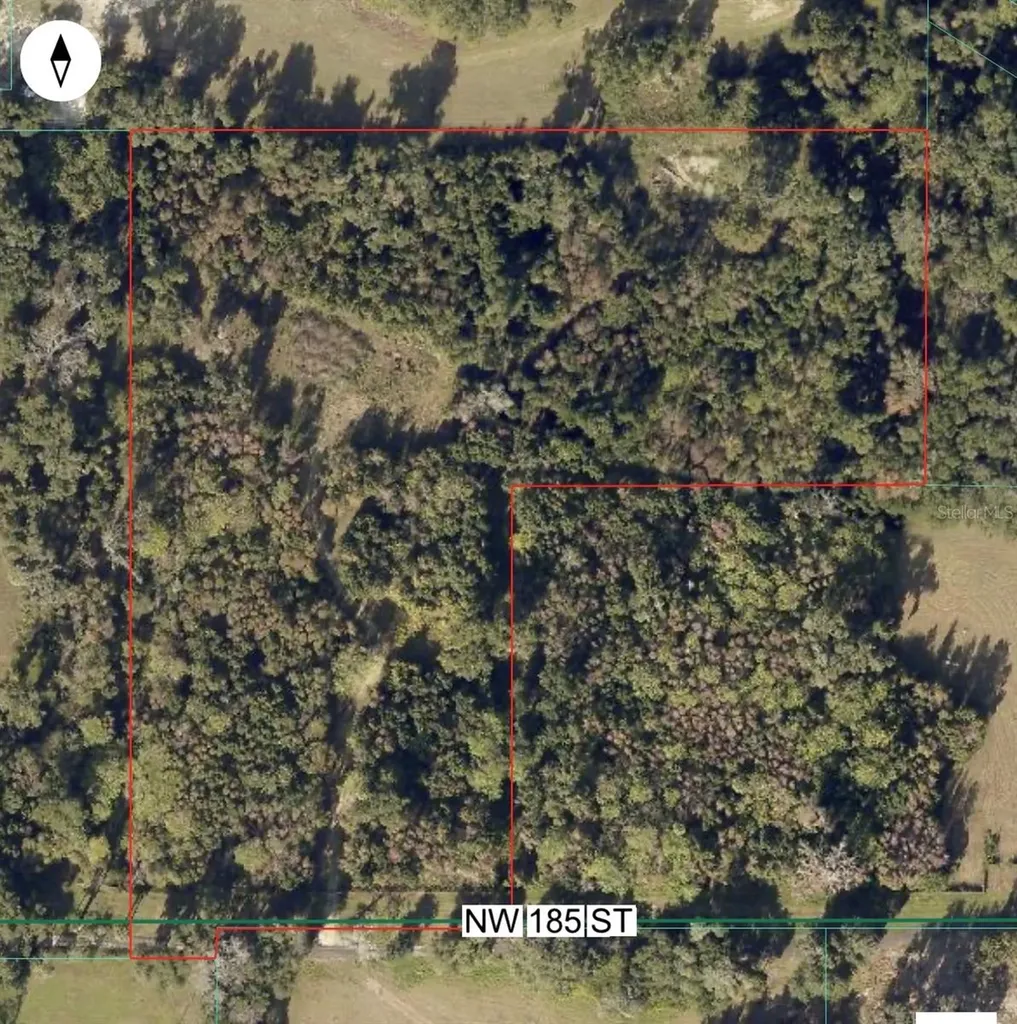 0 NW 185th Street Citra FL 32113