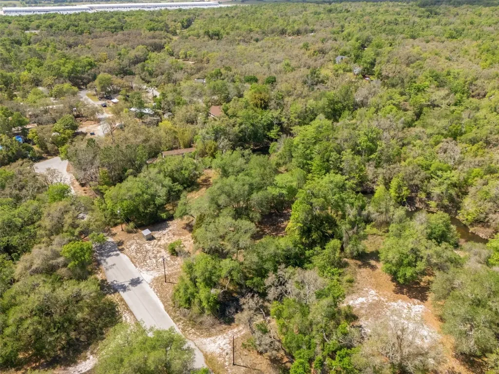 33013 Round Table Road Ridge Manor FL 33523